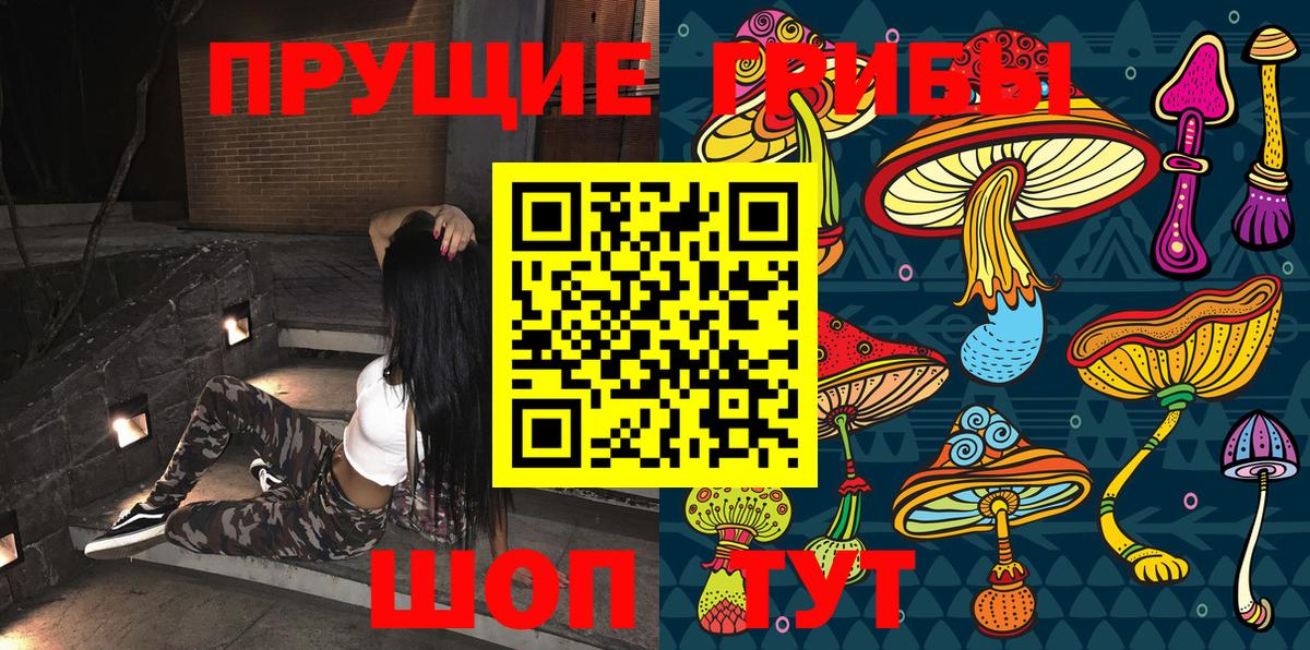Балахна  Галлюциногенные грибы Psilocybine cubensis  Вход с VPN 